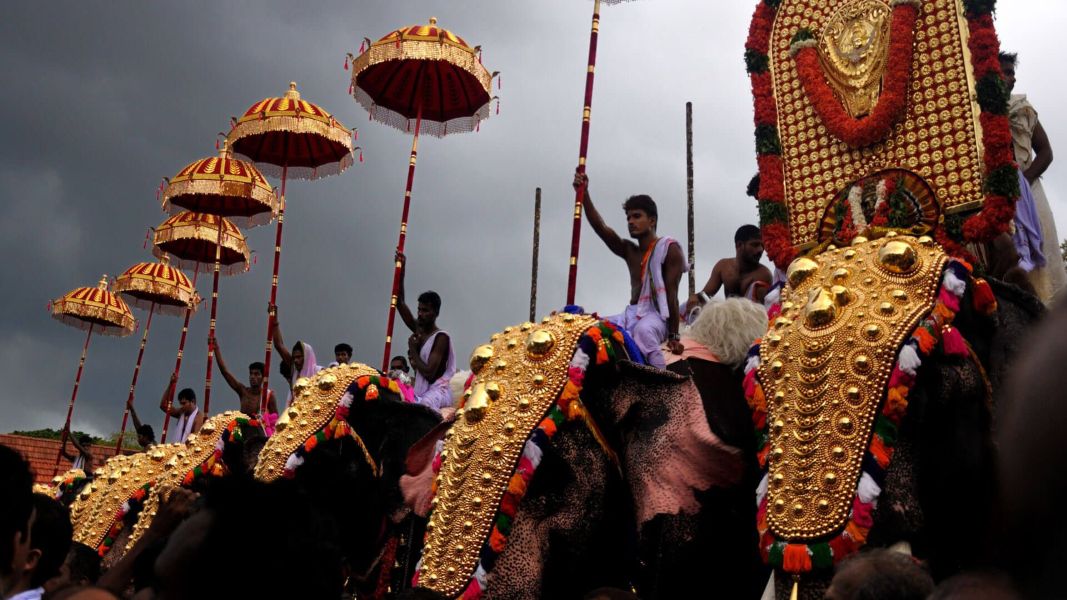 ವರದರಾಜೇಶ್ವರ ರಥೋತ್ಸವ